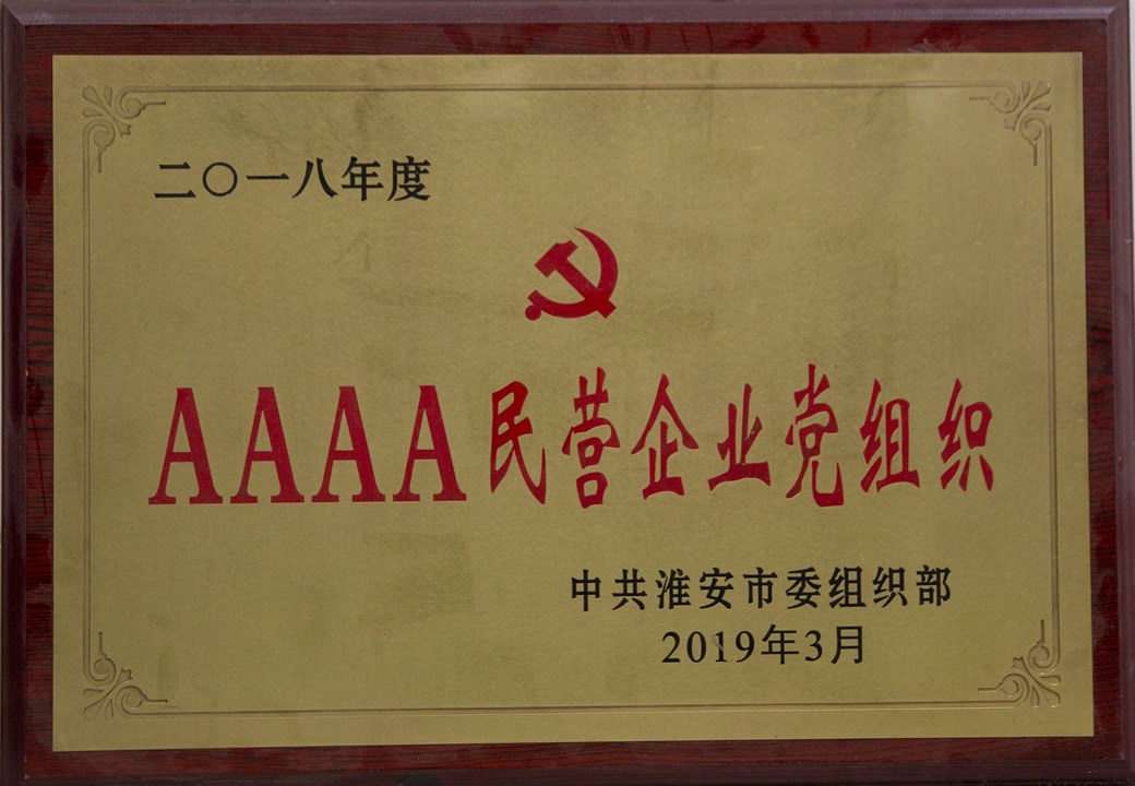 AAAA民营企业党组织